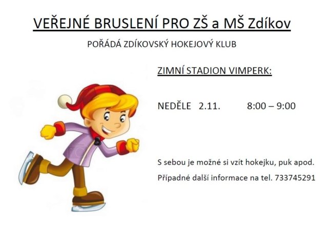 Veřejné bruslení 