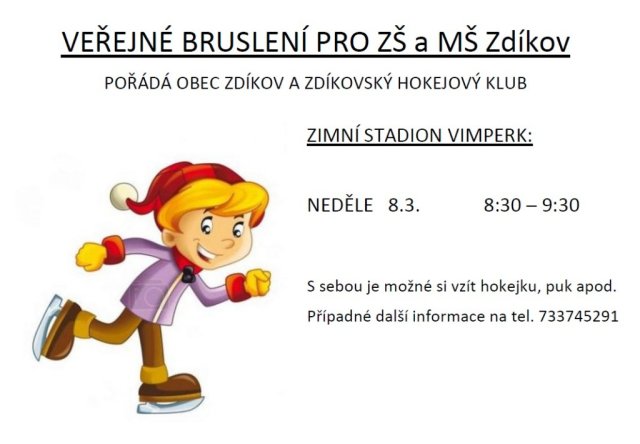 Veřejné bruslení 